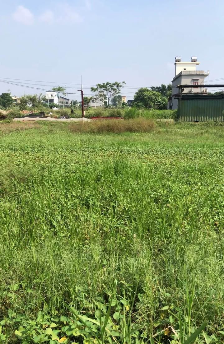 Đất nền Ninh Sơn 100m² giá 3.5 tỷ - Mặt đường quy hoạch 29m