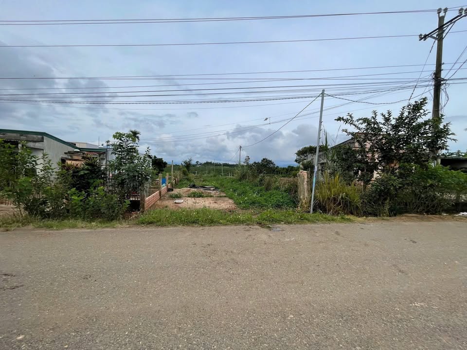 Đất Tân Hội Đức Trọng 406m² giá 1,5 tỷ - Đầu tư sinh lời tốt!