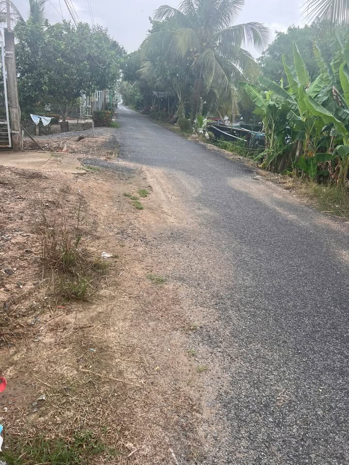 Đất nền xã Đốc Binh Kiều, huyện Tháp Mười, Đồng Tháp 540m² - Gần chợ, giá chỉ 850 triệu