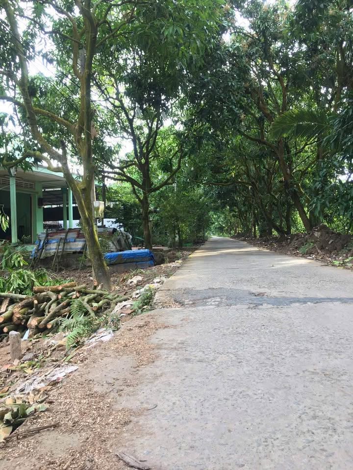 Đất nền 125m² đường Nguyễn Thị Đầm, Cao Lãnh - Giá 890 triệu, mặt tiền nhựa