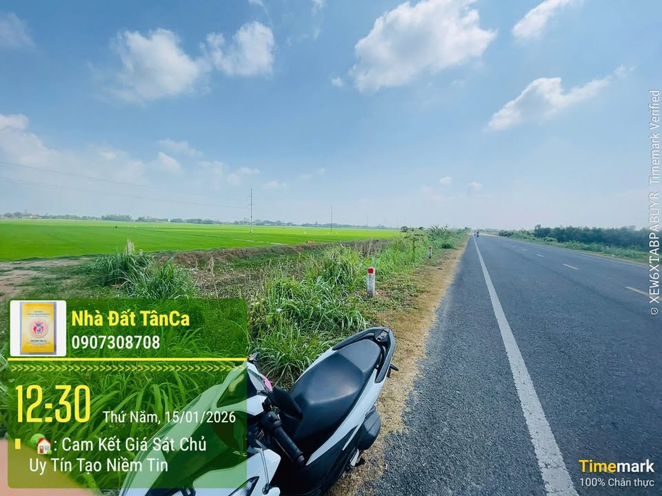 Đất nền mặt tiền QL30 Cao Lãnh 1.600m² giá 3 tỷ - Cơ hội đầu tư hấp dẫn!