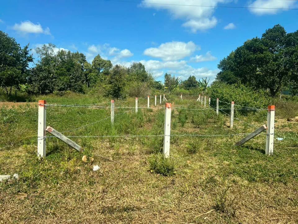 Đất mặt tiền đường Ỷ Lan, Biển Hồ, 135m² giá 1.15 tỷ - Sổ đỏ chính chủ, vị trí vàng!