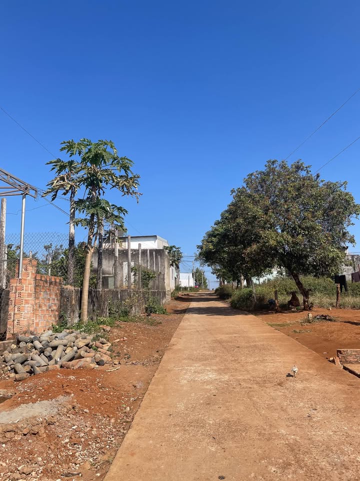 Đất hẻm Bùi Viện 250m² giá 1 tỷ - Cơ hội đầu tư tuyệt vời!