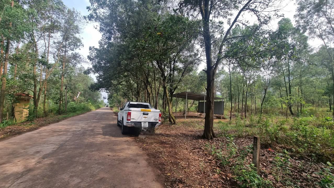 Đất nền 6500m² mặt đường Nguyễn Văn Cừ, Vĩnh Phúc - Giá chỉ 6.8 triệu/m²!