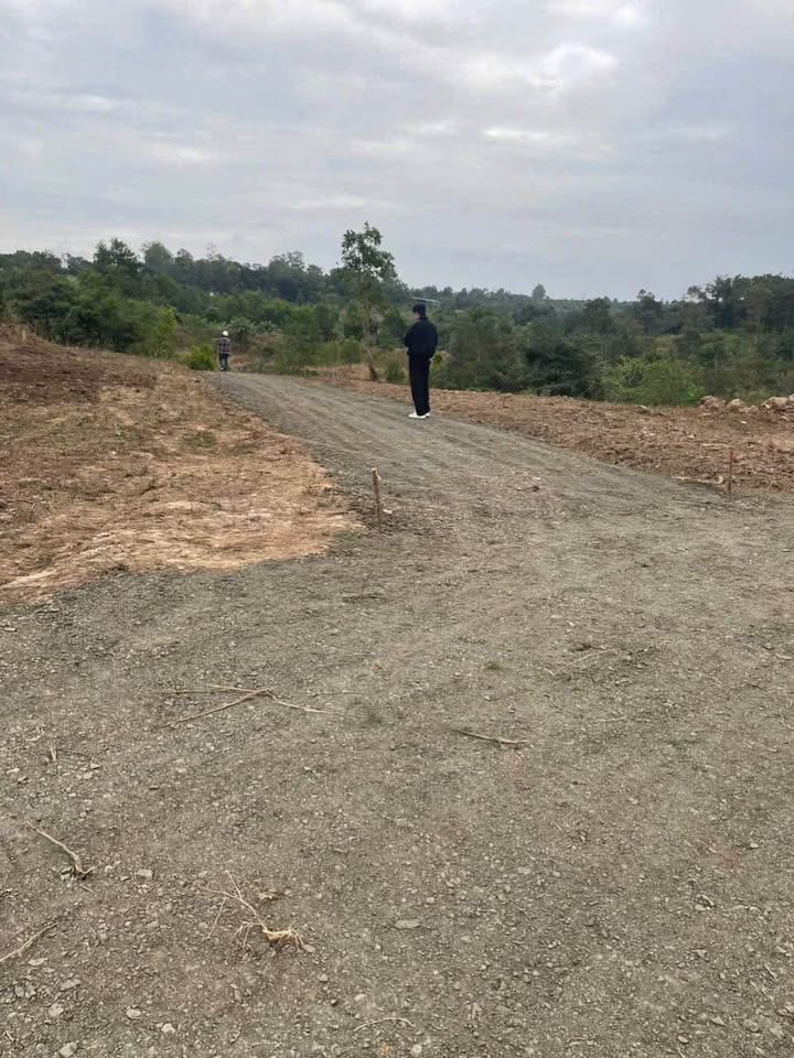 Đất nền 500m² Phường Thành Công, Buôn Ma Thuột giá 135 triệu - Cơ hội đầu tư tuyệt vời!