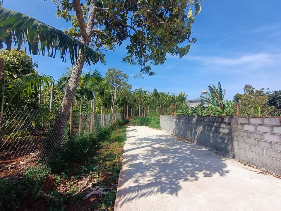 Đất nền Eco City Buôn Ma Thuột 150m² giá 980 triệu - Cơ hội đầu tư hiếm có!