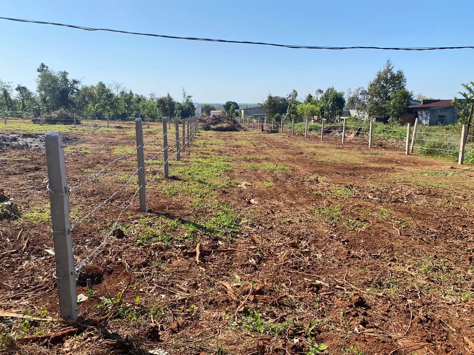 Đất nền Thị trấn Ea Pốk 6000m² giá 1.2 tỷ - Tiện ích đầy đủ, pháp lý rõ ràng!