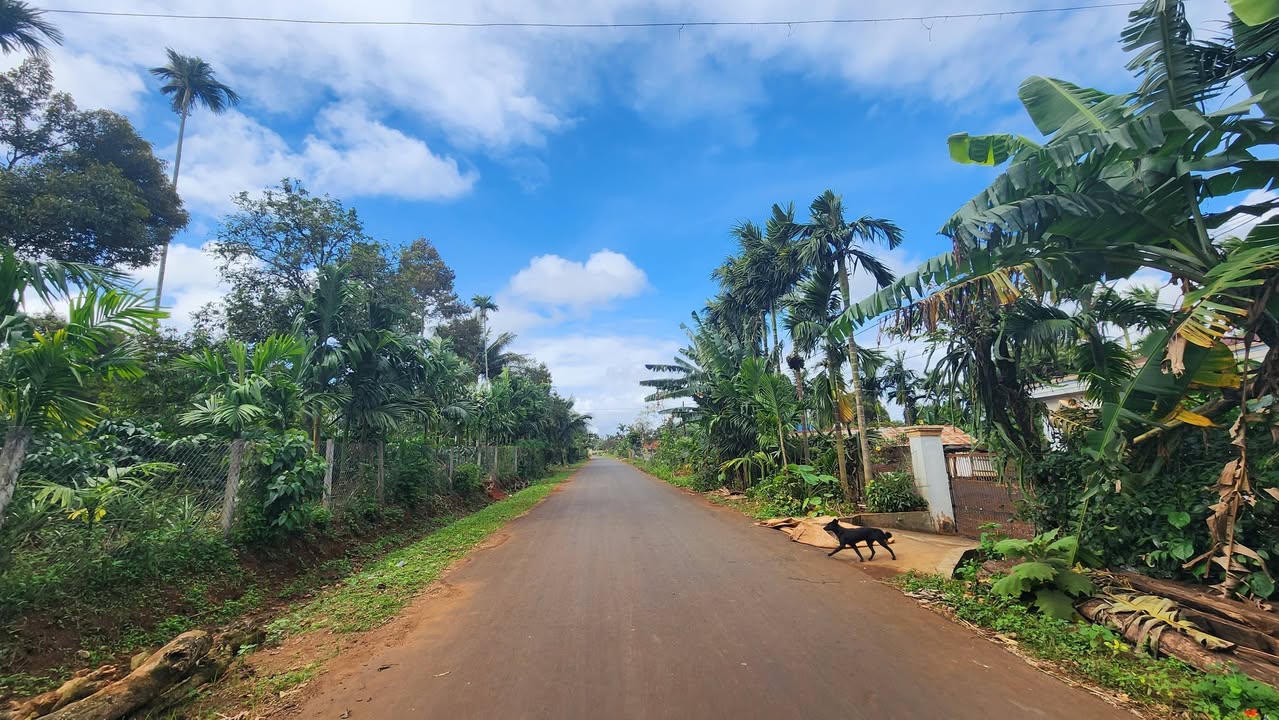 Đất thổ cư Hòa Thắng 275m² giá 1.3 tỷ - Đường 24m thông thoáng!