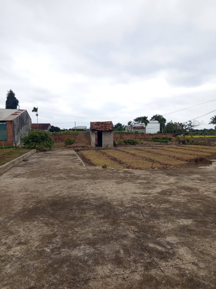 Đất Farm 3 Sào tại Xã Ea Kmút, Huyện Ea Kar - Giá chỉ 835 triệu