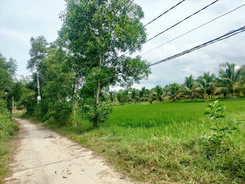 Đất vườn Thôn Phú Sơn, Ninh Hòa 766m² chỉ 485 triệu - Cơ hội đầu tư tuyệt vời!