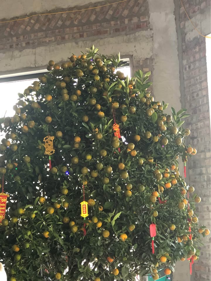 Nhà 3 tầng mới xây tại ngõ Minh Khai, 52m² giá 5 tỷ - Đầu tư sinh lời hấp dẫn!