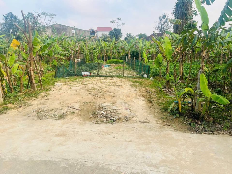 Đất thổ cư 122m² tại Phường Đại Nài - Giá chỉ 1 tỷ, vị trí đắc địa!