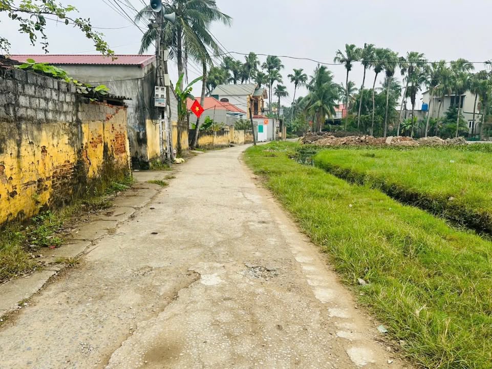 Đất liền kề chính chủ tại phường Nguyệt Viên, TP Thanh Hóa - Giá chỉ 8xx triệu