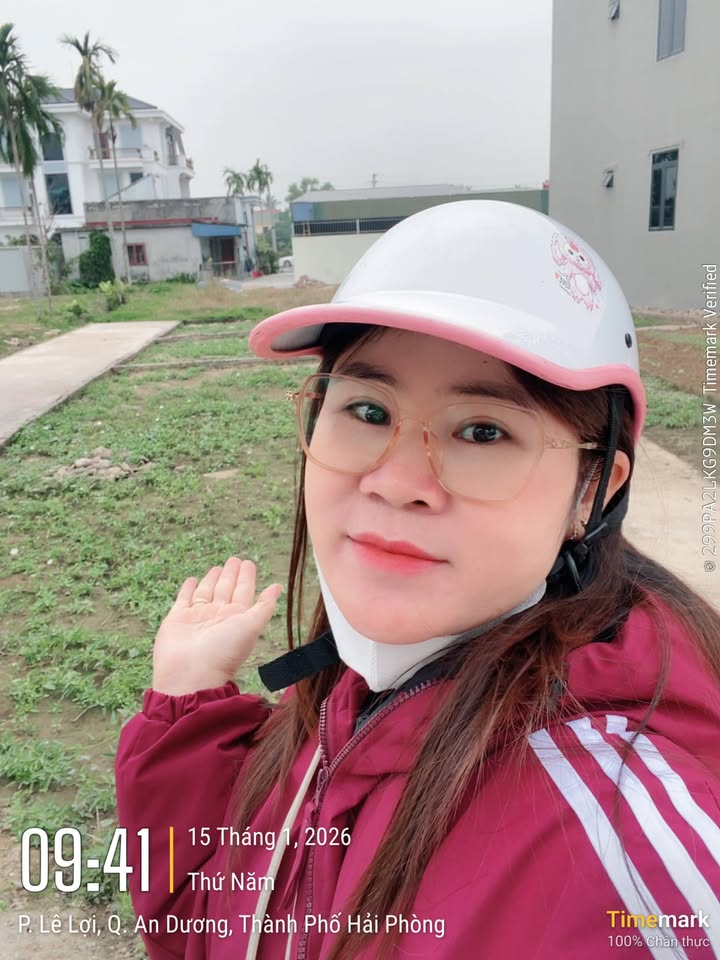 Đất lô góc 60m² tại An Dương, Hải Phòng - Giá chỉ 1.1 tỷ, đầu tư sinh lời cao!