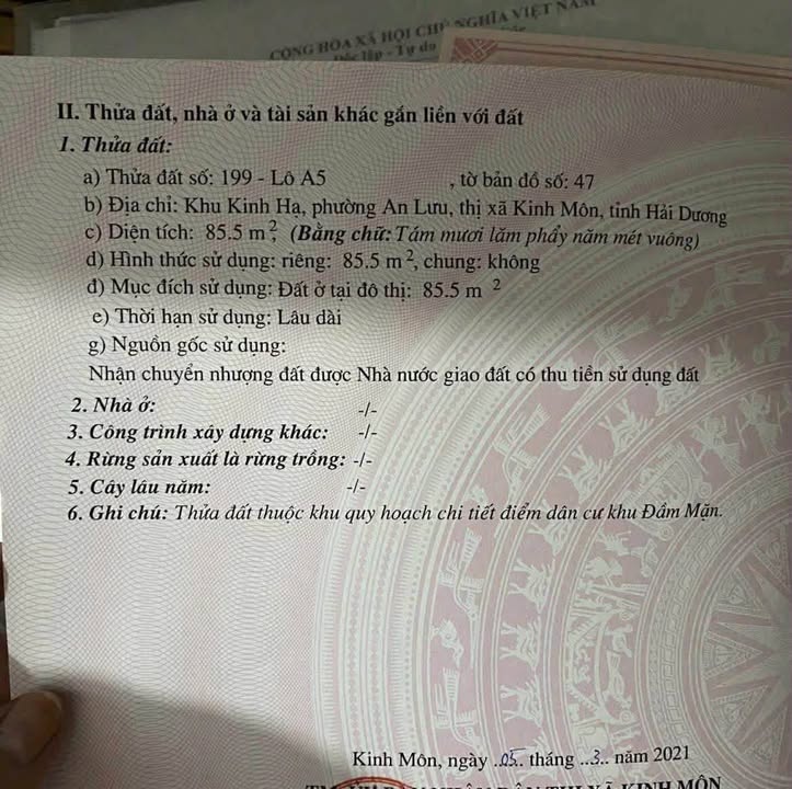 Lô đất 85,5m² khu Kinh Hạ, An Lưu, Kinh Môn - Sổ hồng chính chủ, giá 1 tỷ!