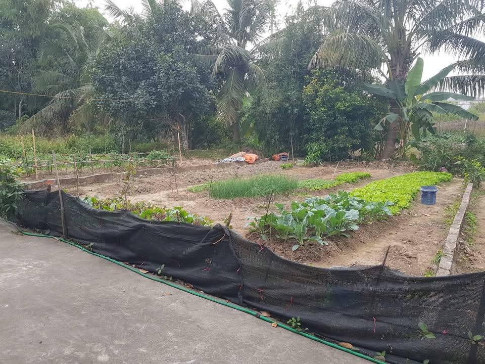 Đất nền Lê Hồng Phong, Thủy Nguyên 80m² giá 1 tỷ - Cơ hội đầu tư tuyệt vời!