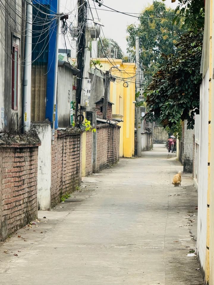 Nhà riêng Đào Yêu Hồng Thái 82m² giá 1.5 tỷ - Chính chủ bán gấp!