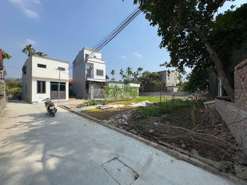 Căn hộ 50m² tại Kiến Phong, Đồng Thái giá 1.4 tỷ - Cơ hội sở hữu ngay!