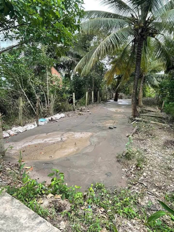 Bán Lô Đất Nền 150m² tại Xã Tân Phú, Đồng Tháp - Sổ Hồng Chính Chủ, Giá Tốt!