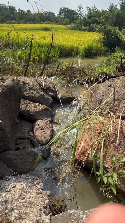 Đất nền 500m² phường Long Khánh giá 850 triệu - Đầu tư sinh lời ngay!