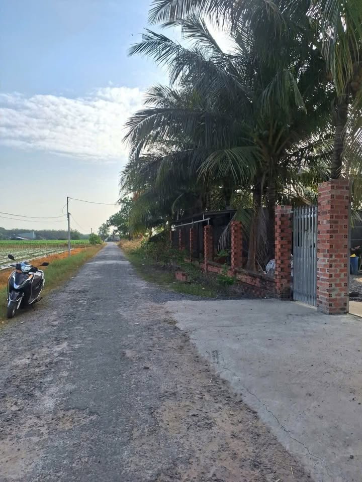 Lô đất Mặt Tiền Nhựa Xã Long Chữ Bến Cầu 250m² giá 360 triệu - Cơ hội đầu tư không thể bỏ qua!