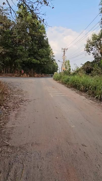 Đất nền Hóc Môn 2.435m² giá 12.175 tỷ - Đầu tư sinh lời ngay!