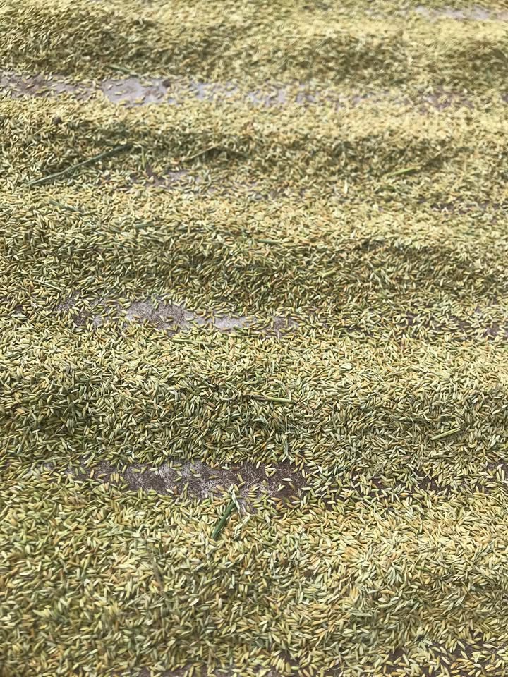 Đất thổ cư Phường Khánh Xuân 135m² giá 1.5 tỷ - Đường thông ô tô vào tận nơi!