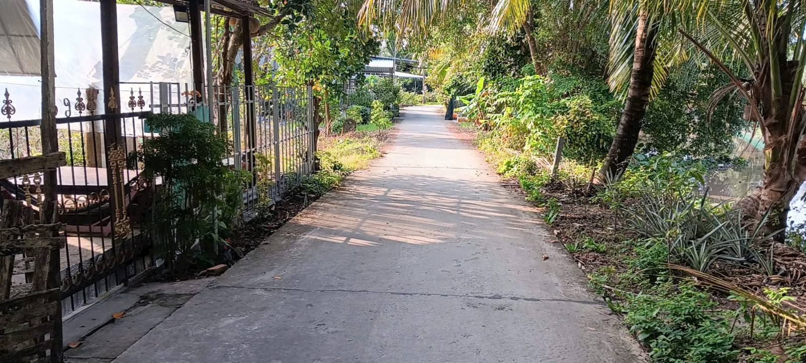 Đất thổ cư 50m² tại Ấp Tân Bình, Xã Giục Tượng - Giá 590 triệu, thương lượng nhẹ!