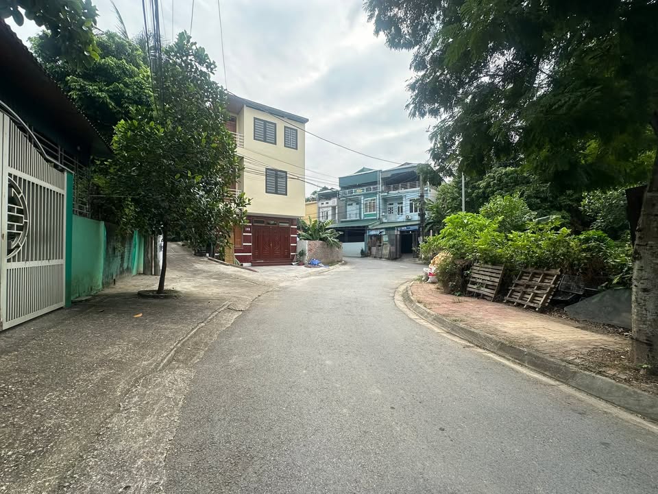 Đất mặt đường Lăng Cẩm, Việt Trì 117m² giá 4 tỷ - Cơ hội đầu tư hấp dẫn!