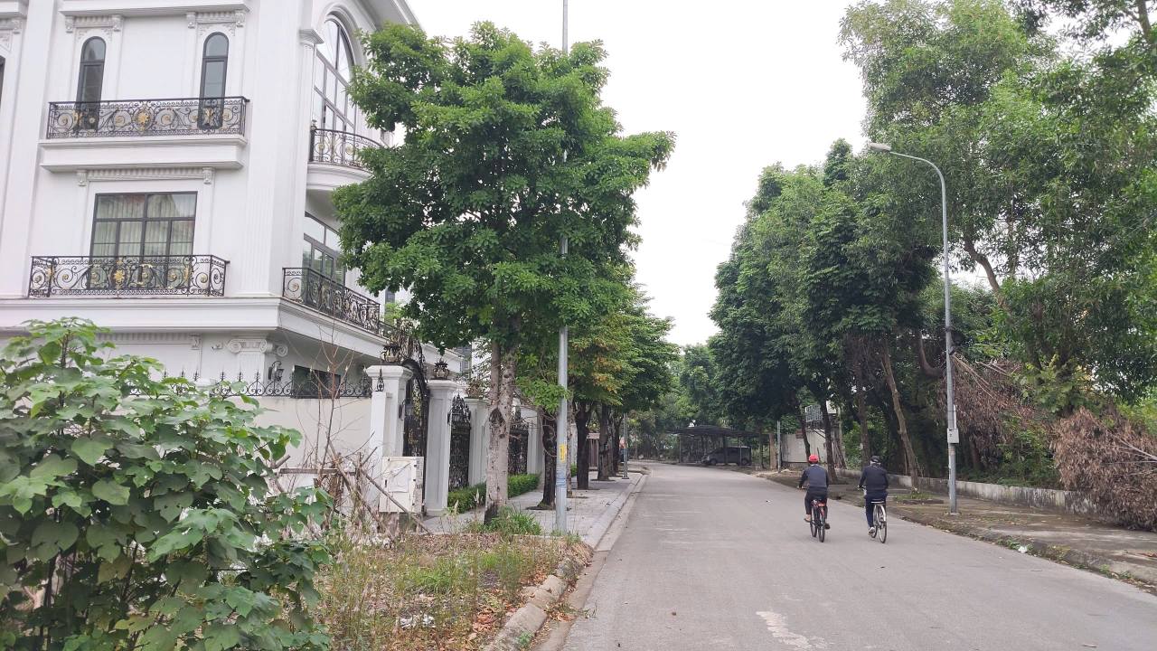 Đất nền KDT Đại Hoàng Long Bắc Ninh 270m² - Giá tốt, vị trí thoáng mát!