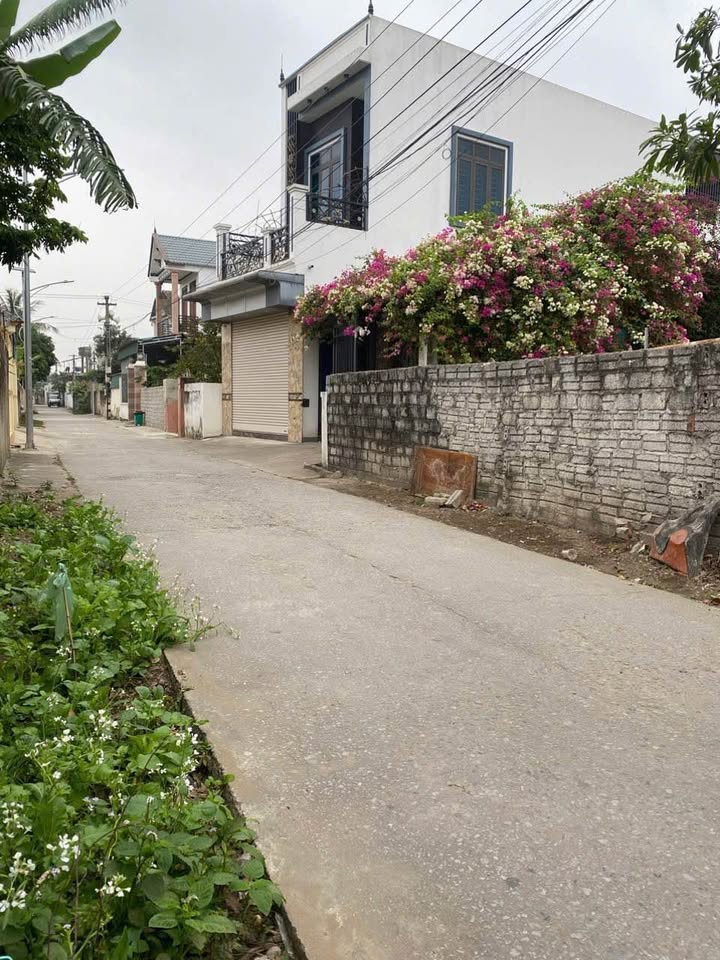 Đất nền Quảng Châu Sầm Sơn 100m² giá 1.3 tỷ - Đường rộng, ô tô tránh nhau thoải mái!