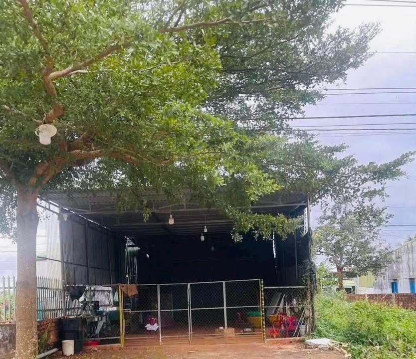 Đất thổ cư 210m² mặt tiền Quốc lộ 14, xã Ea Drang - Đầu tư sinh lời tốt!