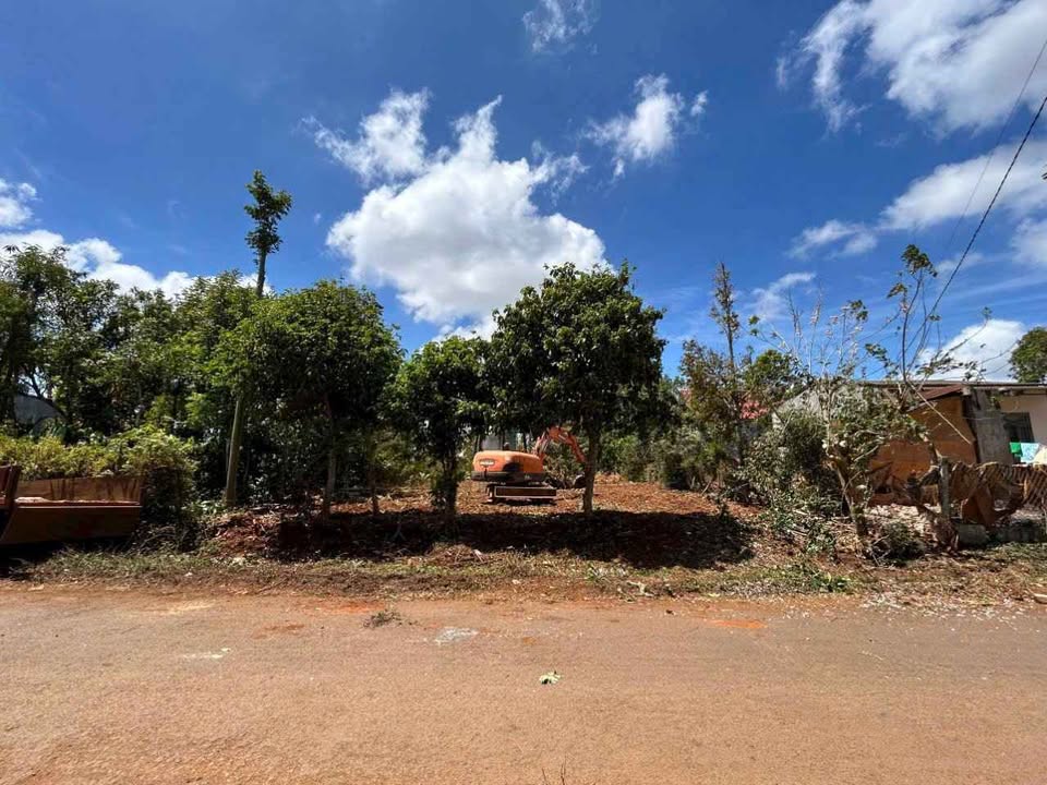 Đất thổ cư Đường Nhựa Hoà Đông 179m² giá 870 triệu - Sổ hồng chính chủ!