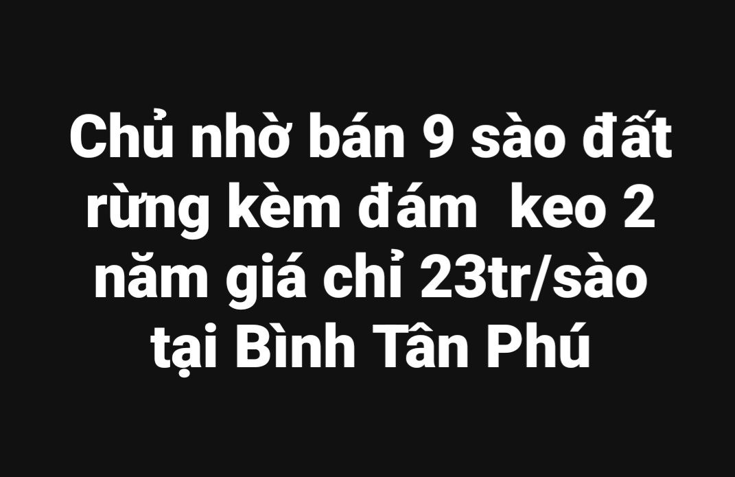 Đất rừng 9 sào tại Bình Tân Phú, Quảng Ngãi giá 207 triệu - Cơ hội đầu tư tuyệt vời!
