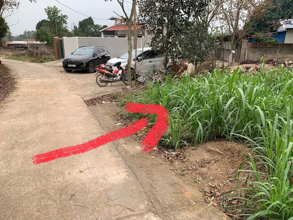 Đất Ô Góc 139m² Hướng Đạo Tam Dương, Vĩnh Phúc - Đầu Tư Sinh Lời Ngay!