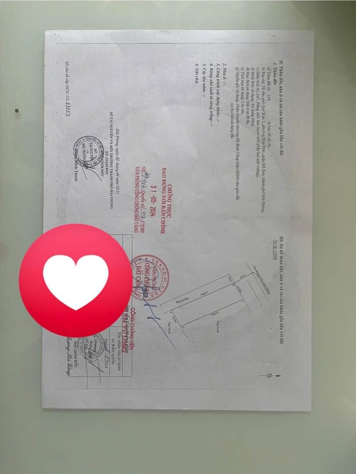 Đất nền lô góc Đường Quý Kim 61,2m² giá chỉ 20 triệu - Cơ hội đầu tư hấp dẫn!