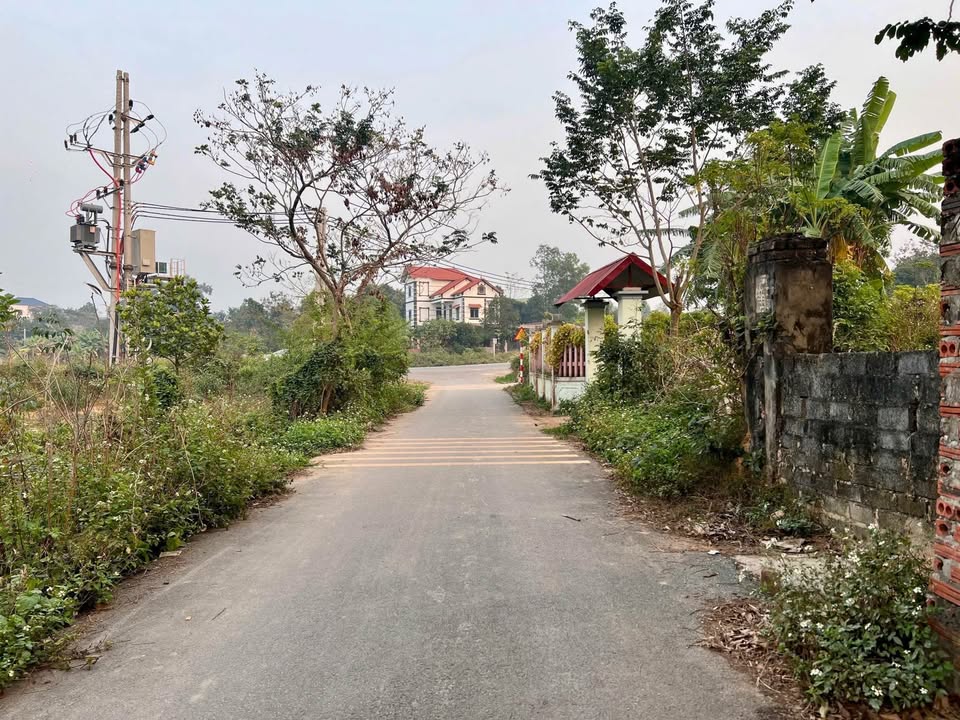 Bán đất trục đường DT310 Hợp Châu 127,7m² - Sổ hồng chính chủ, giá tốt!