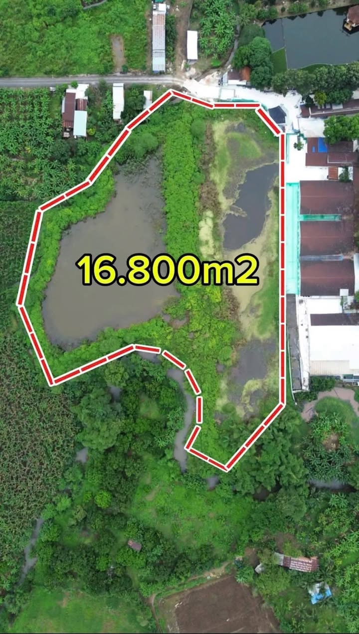Đất nông nghiệp 16.800m² tại Sông Thao, Trảng Bom - Đầu tư sinh lời ngay!