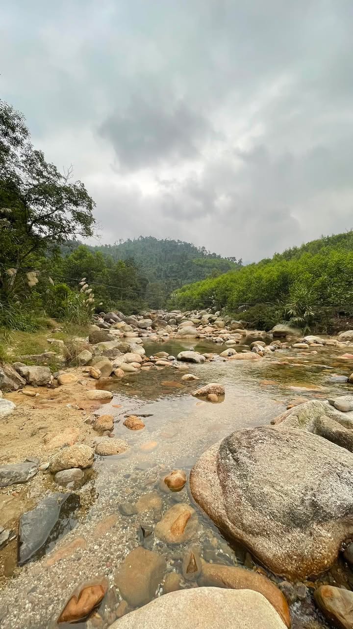 Đất nền Yên Thế Bắc Giang 550m² giá 500 triệu - Cơ hội đầu tư hấp dẫn!