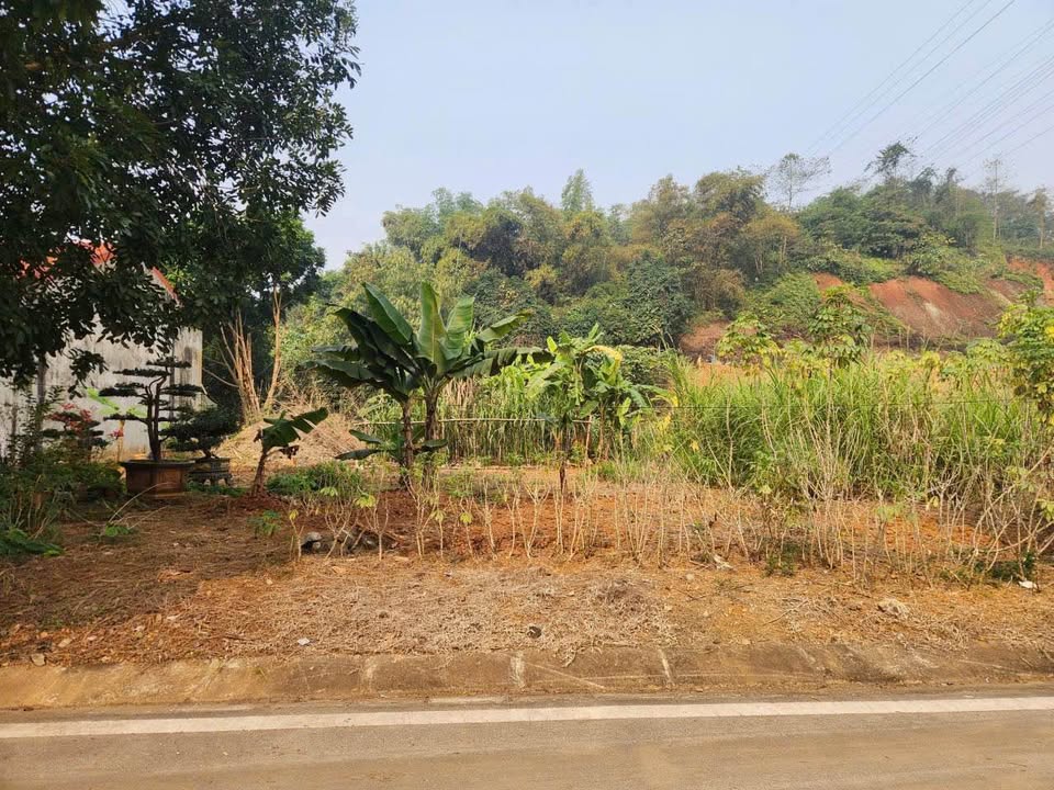 Đất thổ cư 125m² tại Xuân Tăng, Lào Cai - Giá chỉ 1.35 tỷ, thương lượng ngay!