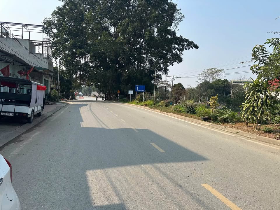 Đất nền Phố Mới, Lào Cai 115m² chỉ 3 tỷ - Đầu tư sinh lời hấp dẫn!