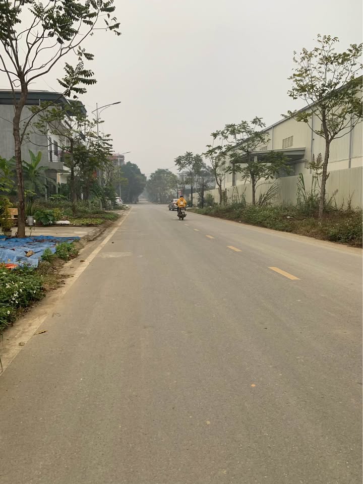 Đất nền Nguyễn Cơ Thạch 107m² giá 1.8 tỷ - Sổ hồng chính chủ, xây dựng tự do!