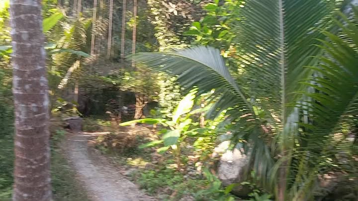 Đất núi Tô, Xã Núi Tô, Huyện Tri Tôn 130000m² - Cơ hội đầu tư tuyệt vời!