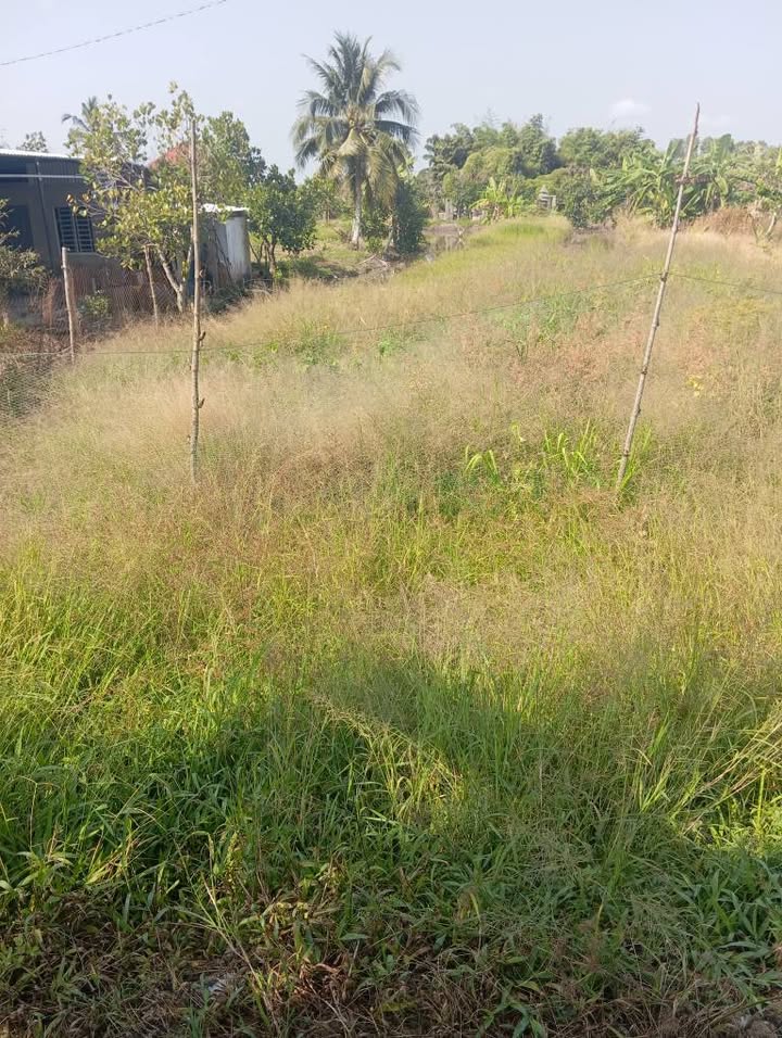 Đất nền 396m² xã Đông Phước A, Hậu Giang - Giá chỉ 490 triệu!