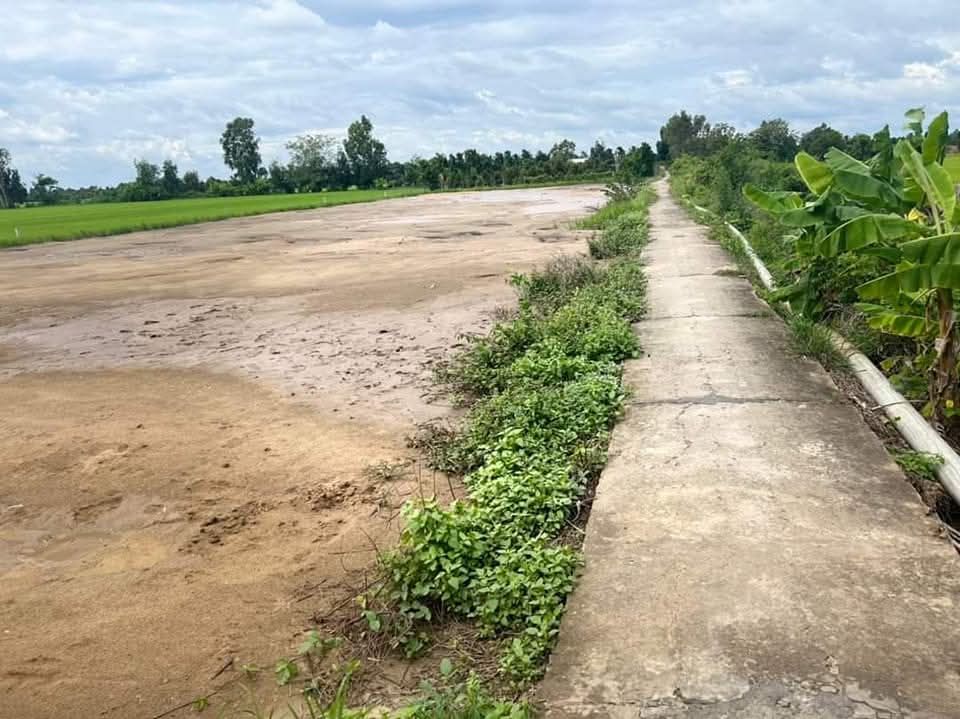 Đất nền tại xã Mỹ Hạnh Đông, thị xã Cai Lậy 235m² giá chỉ 350 triệu - Cơ hội đầu tư sinh lời!