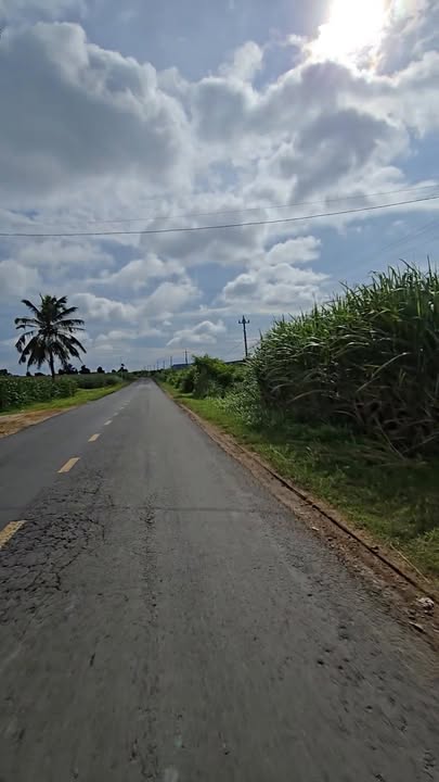 Đất thổ cư 3800m² tại Quốc lộ 29, Huyện Đông Hòa - Giá chỉ 123.5 tỷ!