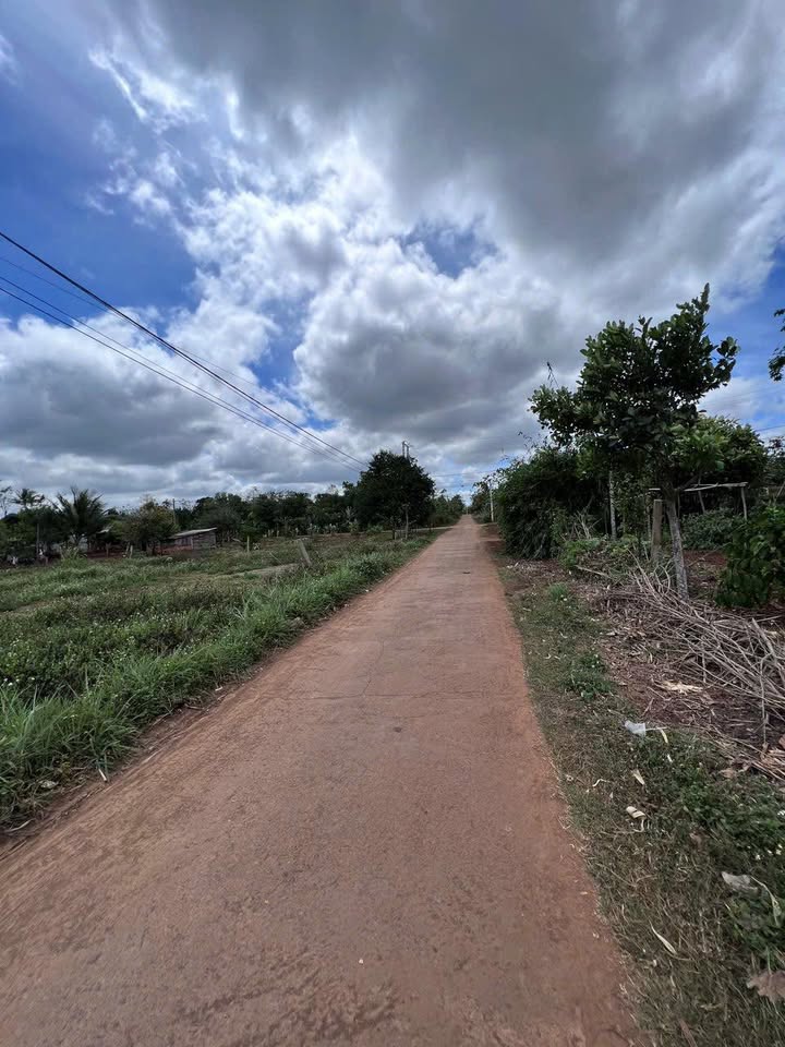 Đất thổ cư 850m² xã Ea Drông - Giá chỉ 19.5 tỷ đồng, cơ hội đầu tư tốt!