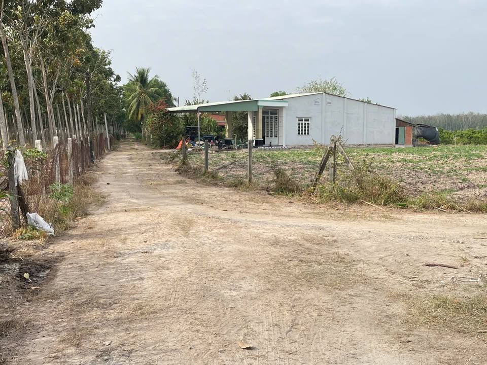 Đất nền Chòm Dừa, Đồng Khởi, Tây Ninh 50m² chỉ từ 200 triệu - Cơ hội đầu tư tuyệt vời!