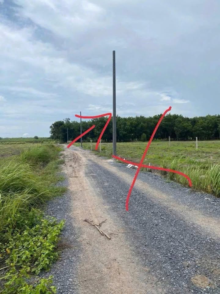 Đất vườn 1000m² xã Tân Phong, Tân Biên chỉ 119 triệu - Cơ hội đầu tư hấp dẫn!