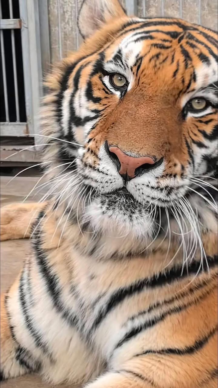 Đất thổ cư 210m² Gò Công Đông chỉ 660 triệu - Đầu tư sinh lời ngay!